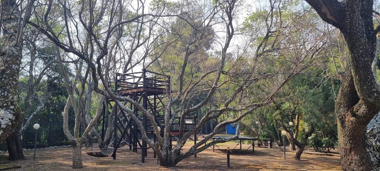 Treehouse and play deck