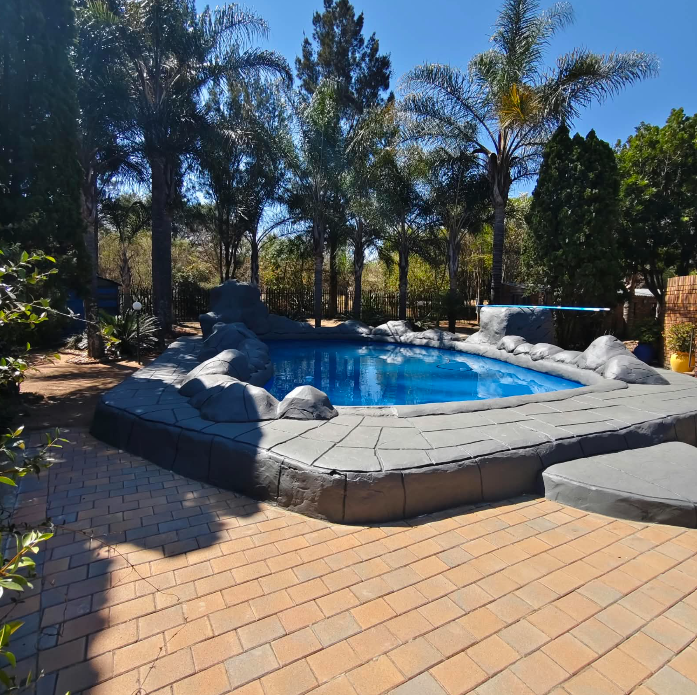 Pool framed by palms